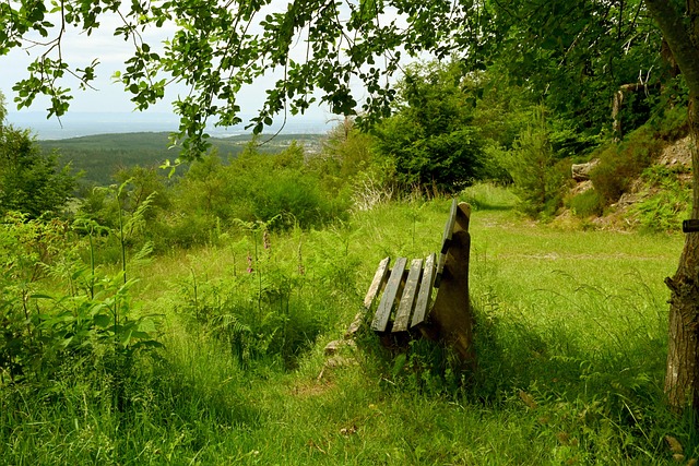 这场比赛之 这场比赛之