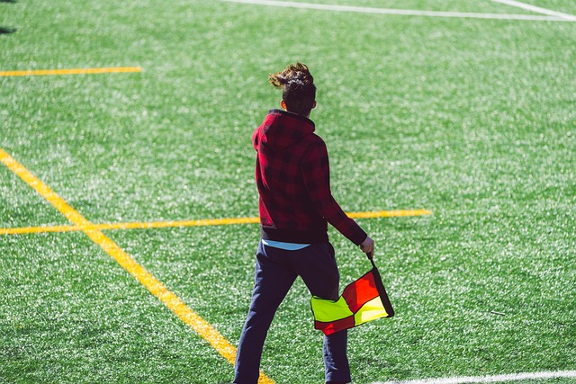 频出的裁判 频出的裁判