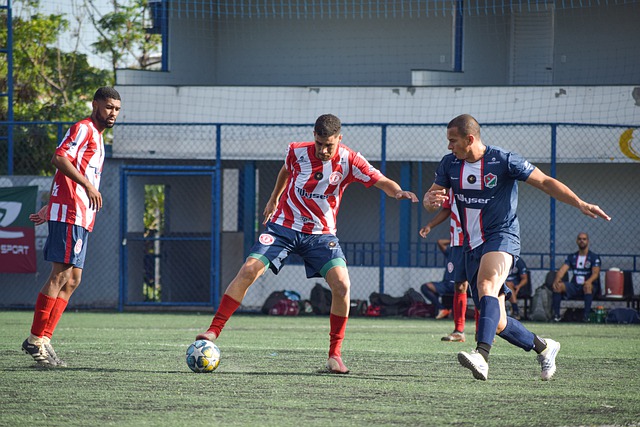 森林狼與勇 森林狼與勇